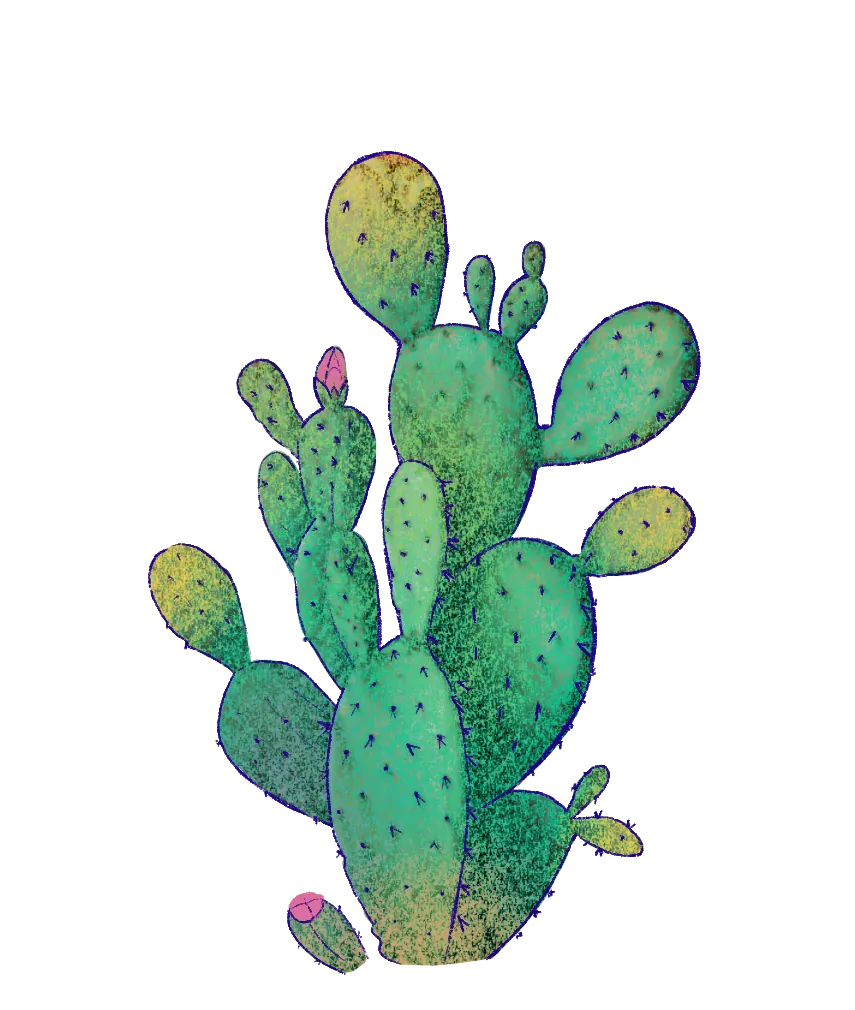Cactus