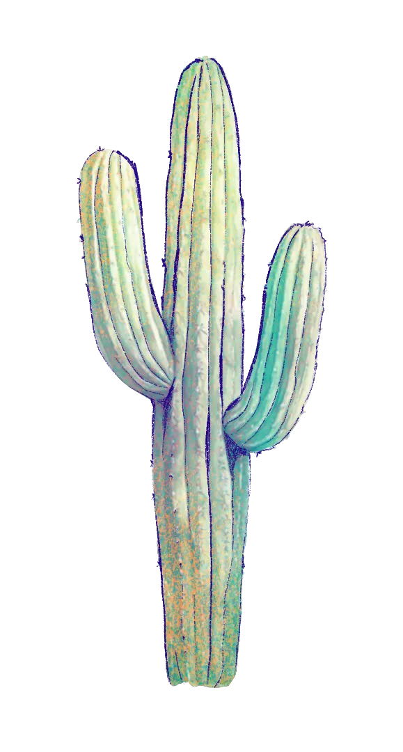 Cactus
