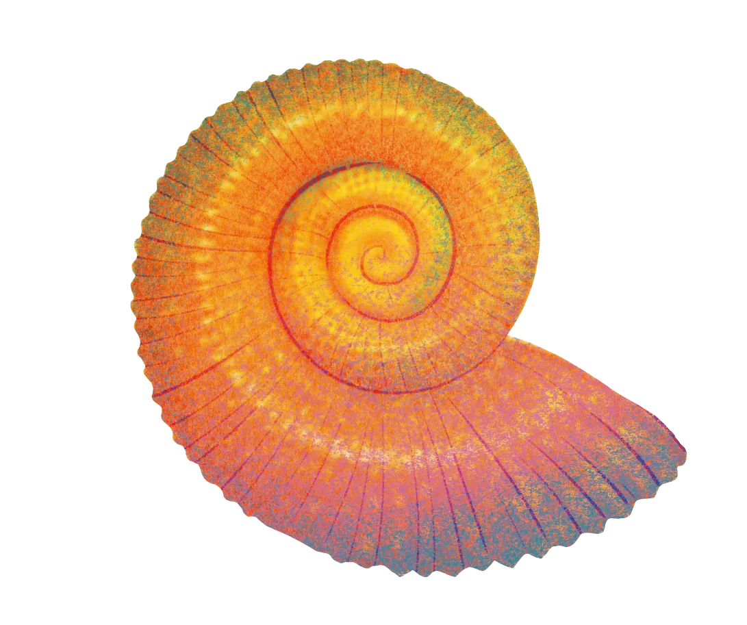 Caracol