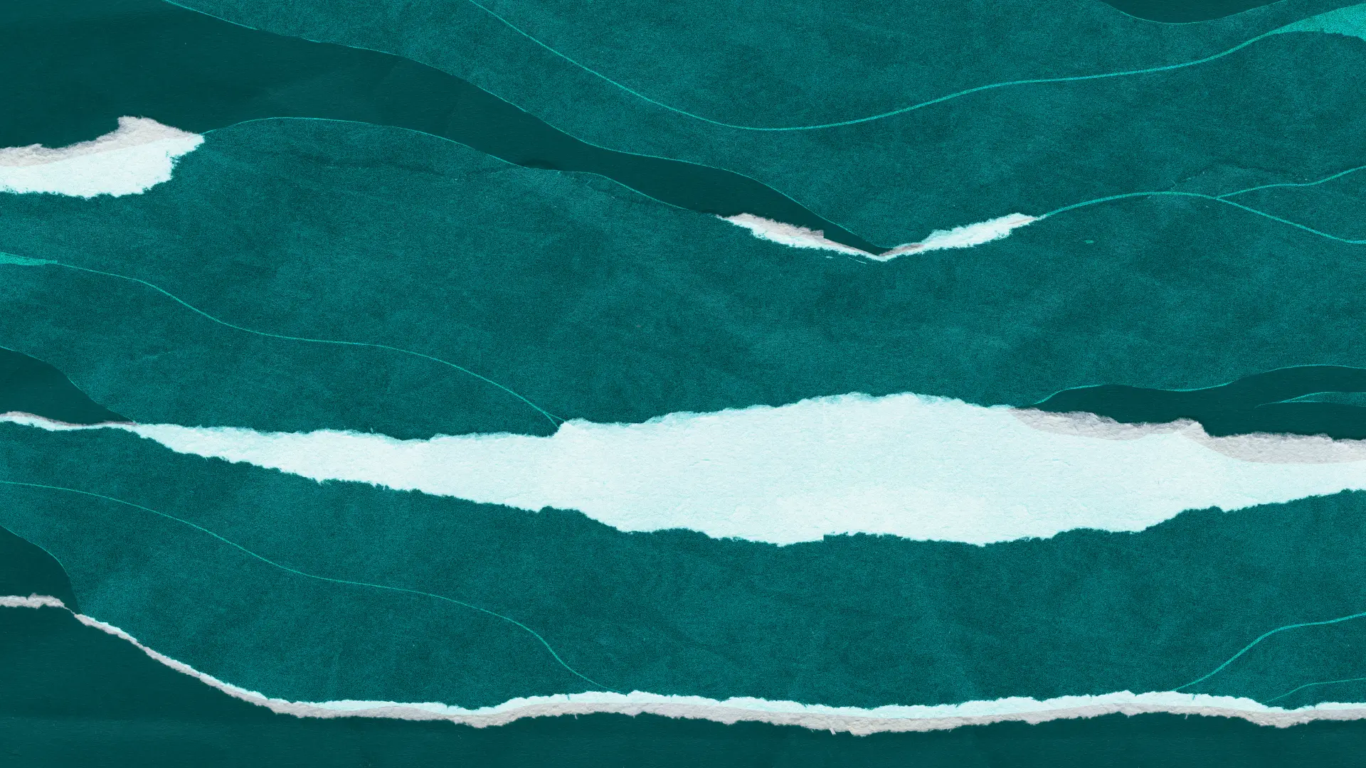 Fondo en Movimiento, ilustración de Aquelarre Laboratorio de Diseño Feminista