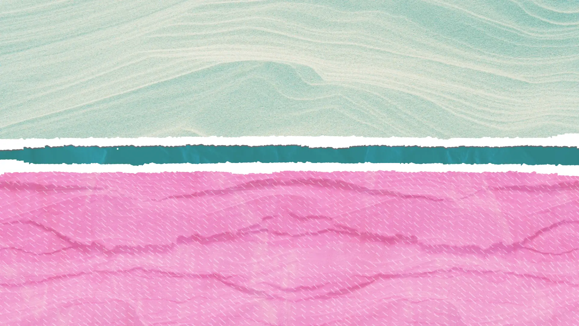 Detalle de programas, ilustración de Aquelarre Laboratorio de Diseño Feminista