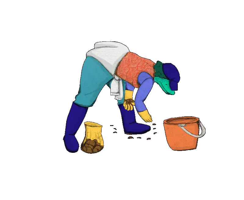 Lagartija, ilustración de Aquelarre