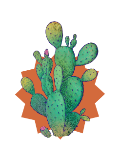 Apoyos