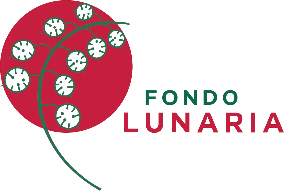 Fondo Lunaria, fondo feminista colombiano